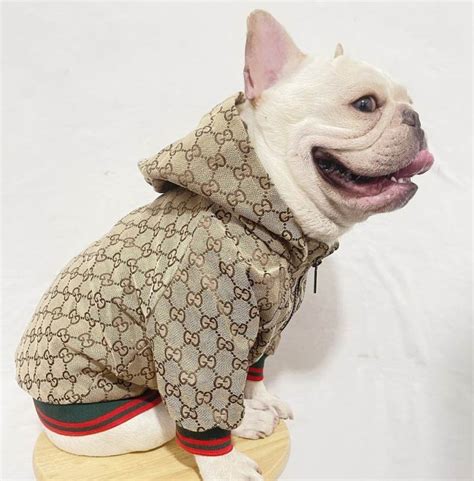 gucci waistcoat|Gucci coats for pets.